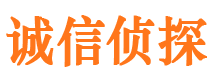 兴海市私家侦探